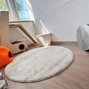 고양이 미용& 호텔 우연히, 캣 이미지