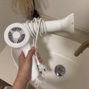 홍시스테이 이미지