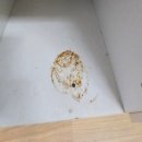 가람마을2단지 휴먼시아 이미지