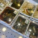 맛나종합반찬 이미지