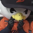 동구야구경기장 | [2026-4] 저 하늘로 날아올라 빛이 되리라