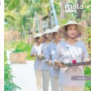 안면리조트 이미지