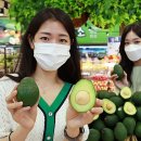 롯데마트 판교점 이미지