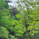 의암순례길(봄내길 2-1코스) 이미지