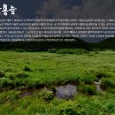 [8월17일] 천상의 화원 대암산 용늪 야생화 탐방 이미지