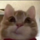 드림헬스클럽 | 우리는 그 순간의 낭만으로 영원을 살아갑니다