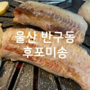 후포미송