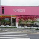 벚꽃뮬리 이미지