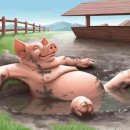 돼지띠 - 진천군 | 돼지띠