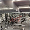 아레나 휘트니스 이미지