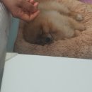 카페일기 이미지