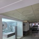 신구초등학교 | 신사 가로수길 춈미 리코펌 미용실 레코드 헤어스튜디오 단발펌 솔직 후기