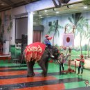 점보빌리지 이미지