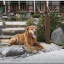 우리텍스 이미지