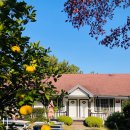 대흘에온 | 제주펜션 조천읍숙소 추천 _ 대흘살레