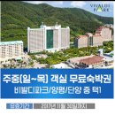 대명리조트 숙박4인용(비발디,양평,단양)할인권-곤돌라(4인)식음료할인권포함 이미지