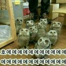 진심족발
