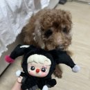 (집)싸마트 네이버블로그