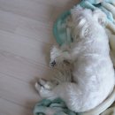 국민은행안양동지점 이미지