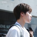 도현