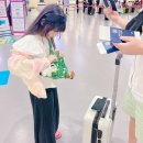 나트랑 여행1탄:) 알마리조트 객실 수영장 조식 &amp; 알마리조트 근처 맛집 타오티엔 솔직후기