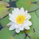 만년경로당 이미지