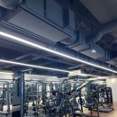 팀타이거짐 세류점 이미지