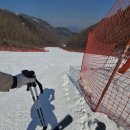 미스터피자하이원점 | 하이원리조트 마운틴콘도 숙박 가격 시즌권 할인 혜택받고 스키여행 스키하우스 푸드코트 중국집 배달