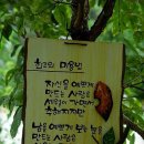 파도노래 이미지