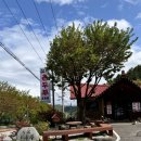 삼오풀빌라 이미지