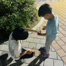 여름곤충 탐구생활 이미지