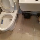 삼동세천 이미지