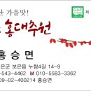 보은홍대추원