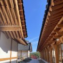 자양한의원 | 대추밭백한의원 방문 후기 | 취소 예약 잡는 법·한약 비용·한방차 더안뉘/더안난 차 리뷰