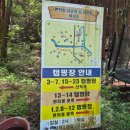 [장성]"편백힐 치유의 숲" 캠핑 후기(+위치, 번호 등)