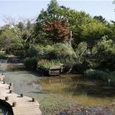 팜카밀레 이미지