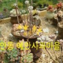 예안농장 이미지