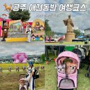 충청남도 공주시청 | 충남 공주 여행 코스 가볼만한곳 백제문화제 미르섬 공산성 애견동반