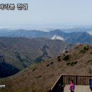 (주)가고파관광
