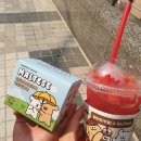 매머드커피익스프레스고덕역점 | 매머드커피☕콜라보 몰티즈앤리트리버/구매 방법/굿즈 구성/가격/실제 피규어 구매후기
