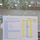 초등 음악줄넘기 | [음악줄넘기] 음악줄넘기🎵 지도자 3급 자격증 연수 후기 (대한줄넘기협회)