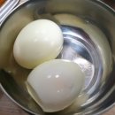 노란 오징어 이미지