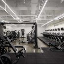 고릴라 짐 이미지