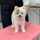 이가미용실 이미지