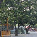 하늘땅별땅 캠핑장 이미지