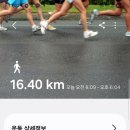 동해시-34 이미지