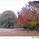 매전초등학교 이미지