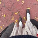 소래버섯나라 이미지