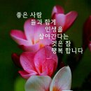 좋은사람들 Daum카페