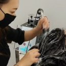 SUN 스칼프 크리닉
